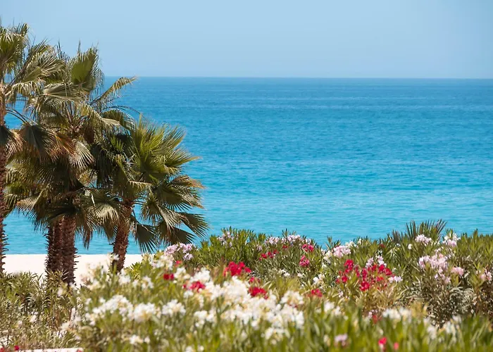 Serene Oceanfront Paradise San José del Cabo